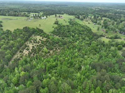 ±22.38 Acres with Views, Creek & Homesites Near Linden, Texas - image 5