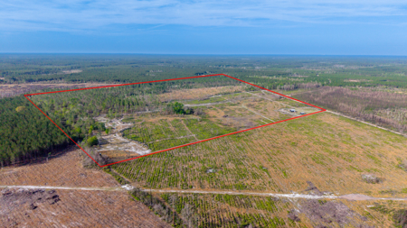 84 Acre Hunting & Timber Property - Camp & Bunkhouse - image 11