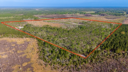 84 Acre Hunting & Timber Property - Camp & Bunkhouse - image 16