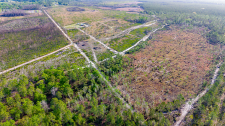 84 Acre Hunting & Timber Property - Camp & Bunkhouse - image 9