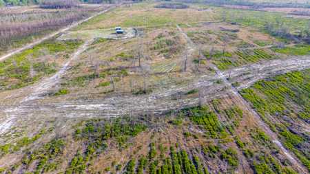 84 Acre Hunting & Timber Property - Camp & Bunkhouse - image 25