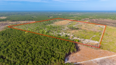 84 Acre Hunting & Timber Property - Camp & Bunkhouse - image 15