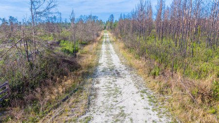 84 Acre Hunting & Timber Property - Camp & Bunkhouse - image 19