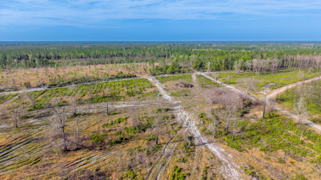 84 Acre Hunting & Timber Property - Camp & Bunkhouse - image 24