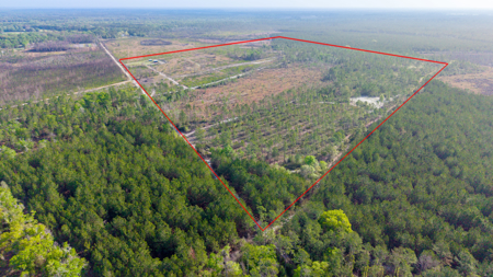 84 Acre Hunting & Timber Property - Camp & Bunkhouse - image 1