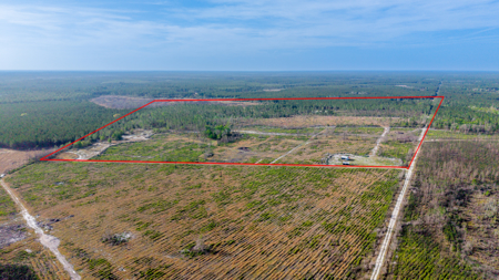 84 Acre Hunting & Timber Property - Camp & Bunkhouse - image 26