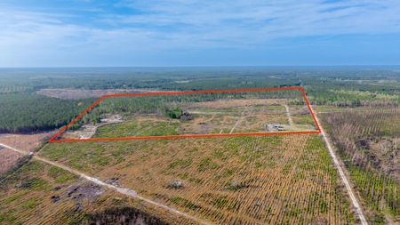 84 Acre Hunting & Timber Property - Camp & Bunkhouse - image 13