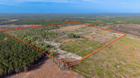 84 Acre Hunting & Timber Property - Camp & Bunkhouse - image 14