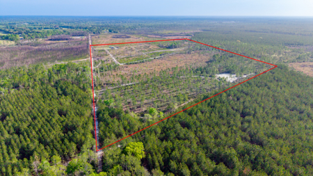 84 Acre Hunting & Timber Property - Camp & Bunkhouse - image 12
