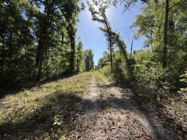 Listing 47
