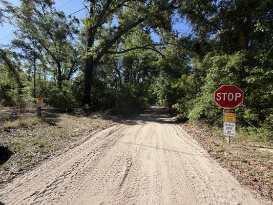 40 Ac - Diverse Habitat - Near Suwannee River - Big Bucks