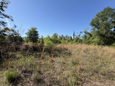 Listing 47