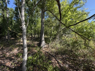 Listing 47