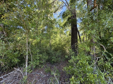 Listing 47
