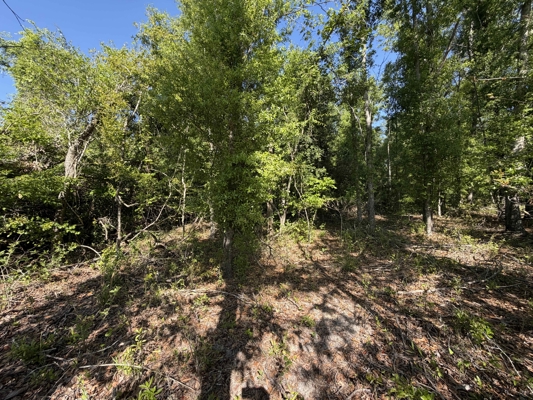 40 Ac - Diverse Habitat - Near Suwannee River - Big Bucks