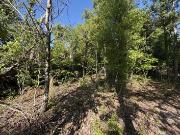 Listing 47