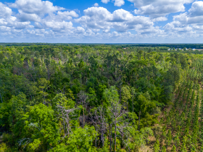 Premier 17.33-Acre Homesite & Investment Opportunity For Sale - image 10