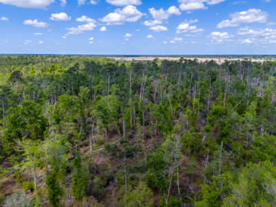 Premier 17.33-Acre Homesite & Investment Opportunity For Sale - image 8