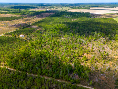 Premier 17.33-Acre Homesite & Investment Opportunity For Sale - image 5
