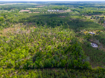 Premier 17.33-Acre Homesite & Investment Opportunity For Sale - image 3