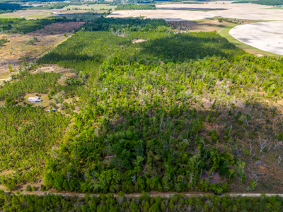 Premier 17.33-Acre Homesite & Investment Opportunity For Sale - image 6