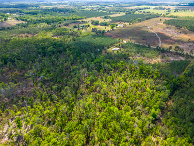 Premier 17.33-Acre Homesite & Investment Opportunity For Sale - image 4