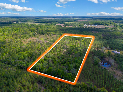 Premier 17.33-Acre Homesite & Investment Opportunity For Sale - image 2