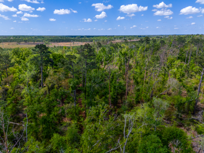 Premier 17.33-Acre Homesite & Investment Opportunity For Sale - image 11