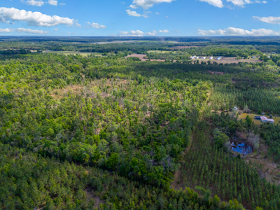 Premier 17.33-Acre Homesite & Investment Opportunity For Sale - image 1
