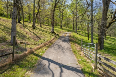 Country Home for Sale in Giles County, Tennessee - image 38