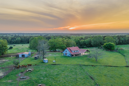 55‑Acre Texas Cattle Ranch with 5BR Custom Home - image 1