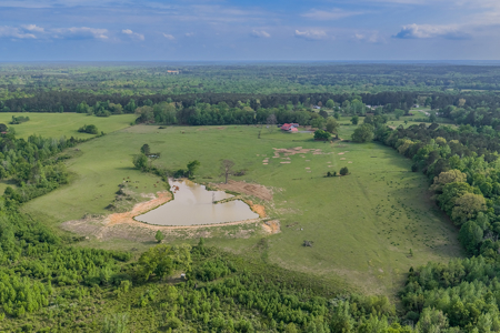 55‑Acre Texas Cattle Ranch with 5BR Custom Home - image 42