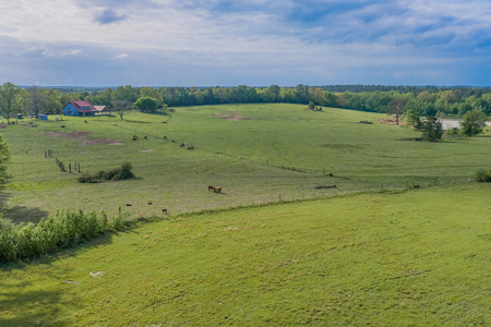 55‑Acre Texas Cattle Ranch with 5BR Custom Home - image 3