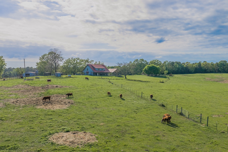 55‑Acre Texas Cattle Ranch with 5BR Custom Home - image 5