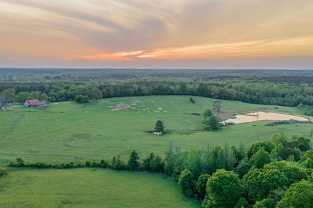 55‑Acre Texas Cattle Ranch with 5BR Custom Home - image 6