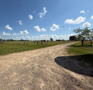 54-Acre Cattle & Horse Ranch West of De Kalb, Texas For Sale - image 22