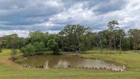 54-Acre Cattle & Horse Ranch West of De Kalb, Texas For Sale - image 25