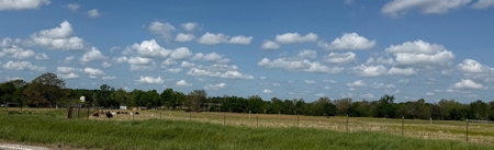 54-Acre Cattle & Horse Ranch West of De Kalb, Texas For Sale - image 1