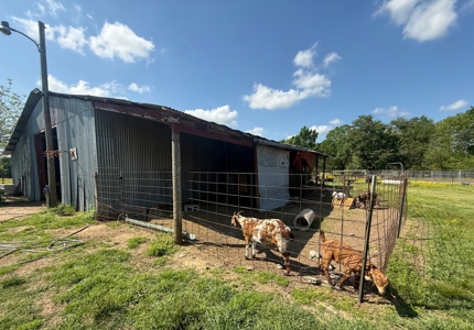 54-Acre Cattle & Horse Ranch West of De Kalb, Texas For Sale - image 19