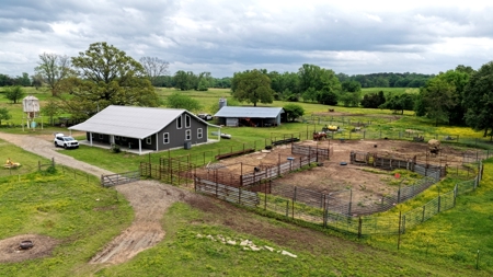 54-Acre Cattle & Horse Ranch West of De Kalb, Texas For Sale - image 24