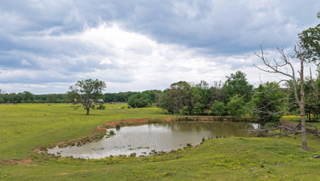54-Acre Cattle & Horse Ranch West of De Kalb, Texas For Sale - image 27