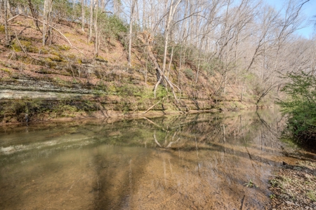 Creekfront Land for Sale in Tennessee with Pond, Shop, and Cabins - image 35