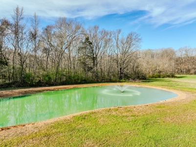Creekfront Land for Sale in Tennessee with Pond, Shop, and Cabins - image 13