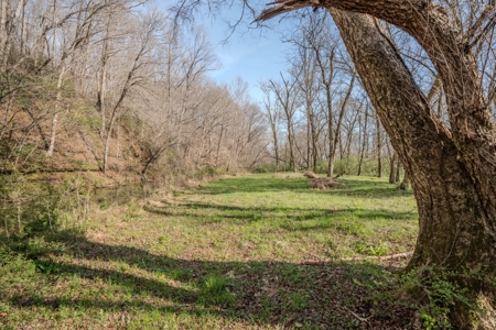 Creekfront Land for Sale in Tennessee with Pond, Shop, and Cabins - image 39
