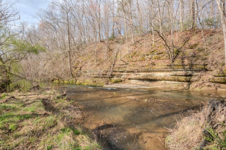 Creekfront Land for Sale in Tennessee with Pond, Shop, and Cabins - image 33