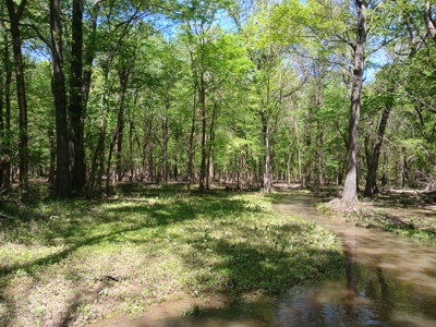 158± Acre Multi-Use Ranch & Hunting Property Near Antlers, OK - image 13