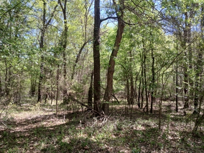 158± Acre Multi-Use Ranch & Hunting Property Near Antlers, OK - image 15