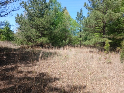 158± Acre Multi-Use Ranch & Hunting Property Near Antlers, OK - image 20