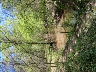 158± Acre Multi-Use Ranch & Hunting Property Near Antlers, OK - image 7