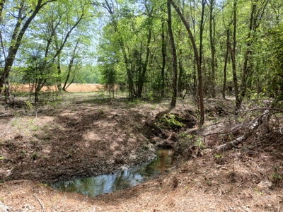 158± Acre Multi-Use Ranch & Hunting Property Near Antlers, OK - image 23